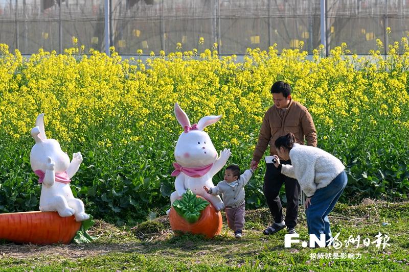 福州百花盛開，“賞花經(jīng)濟(jì)”如何持久綻放？